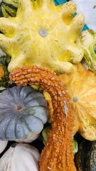 Different Varieties of Stemmed Natural Pumpkins on Grocery Store Shelves

