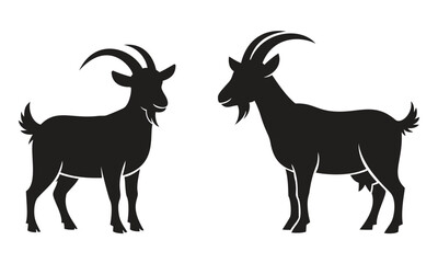 Male and female goats with horns and udders for farm animal, livestock, and agriculture design