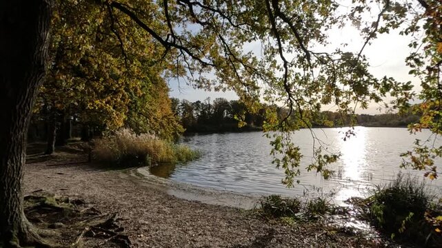 Goldener Herbst beim Aspermansvijver Weiher im Sonnenschein in Belgien