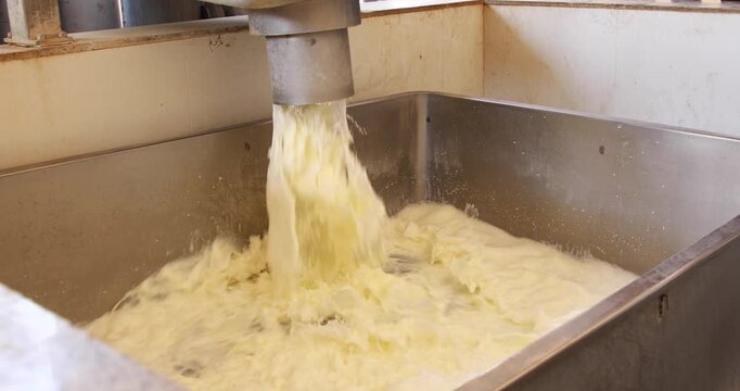Fresh milk flows thought a stainless-steel processing tank, showcasing hygienic handling, smooth transfer and purity maintenance in modern dairy production system.