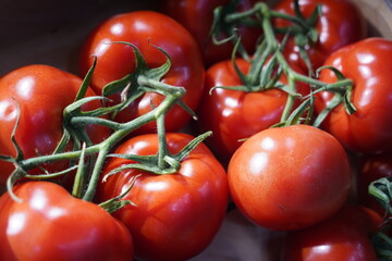 Tomatoes are collected in wooden boxes. Vegetable sale.