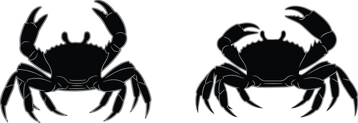 Two detailed crab vector illustrations with sharp claws and legs, perfect for marine wildlife art, seafood design, and ocean themes