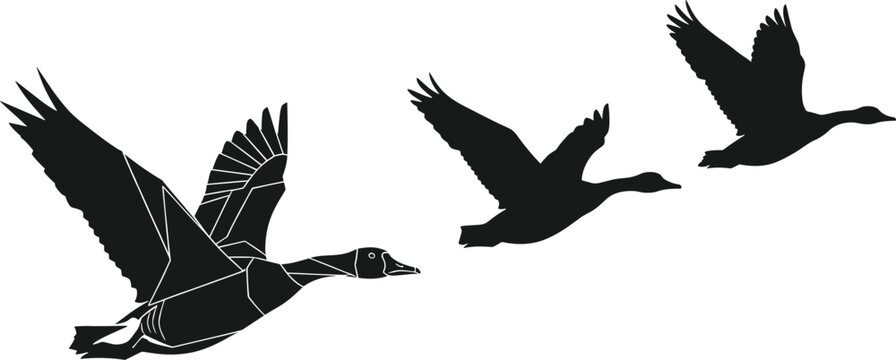 Silhouette illustration of flying ducks in motion across the sky, perfect for wildlife, bird migration, and nature vector design themes