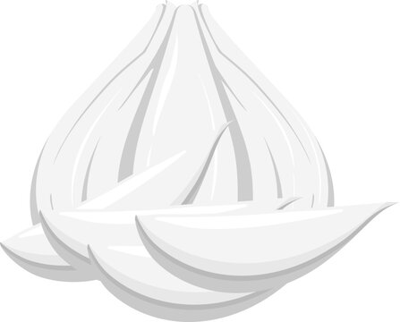 white garlic bulb and cloves clip art preview