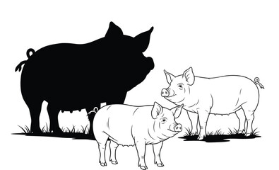 Farm pig family vector illustration showing adult and young pigs standing on grass, livestock animal design concept for agriculture artwork