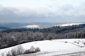 Trees covered in snow, ground frost, winter season, frosty scenery of forest in wintertime, landscape in Germany