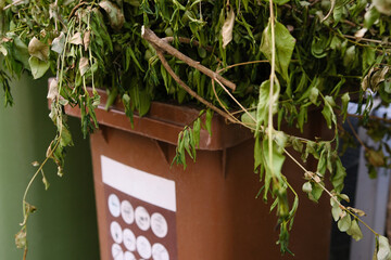 Bio waste container. Brown trash bin with dry leaves. Composting waste