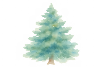 Watercolor pine tree painting for winter holiday designs, christmas and nature themes, transparent background