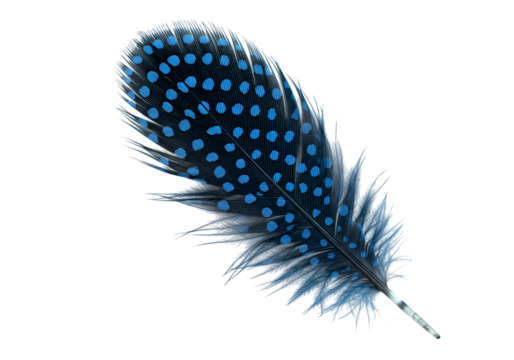 Stunning blue spotted feather, artistic avian elegance