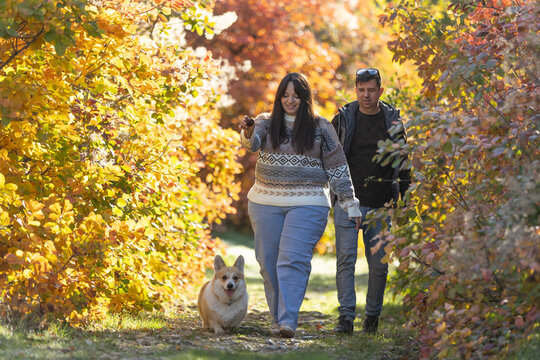 A couple in love strolling in the park. Relaxing on an autumn day.