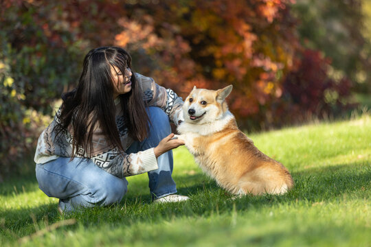 A woman walks her dog in a park. An autumn walk with a pet outdoors.