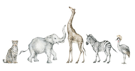 Obraz premium Watercolor set with wild savannah animals. Giraffe, elephant, zebra, leopard, crane. Cute safari wildlife animal