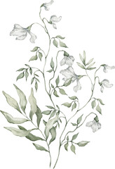 Watercolor bouquet with tropical leaves. Jungle nature. Greenery and tropical arrangement. Hand drawn botany set. Modern tropical design.