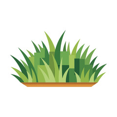 Illustration of a patch of green grass with a brown base.