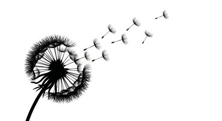Dandelion silhouette with seeds blowing in the wind. Minimalist vector illustration of change and freedom. Graphic design element isolated on a white background