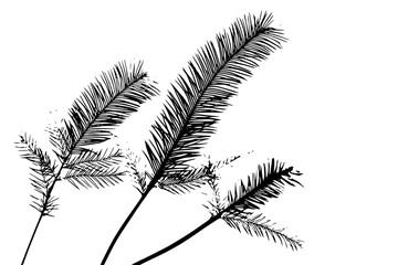 Naklejka premium Timeless Tribute: Delicate Arrangement Branches Leaves | Clean, isolated vector art for creative projects.