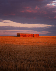 Hay bales stack in field at sunset