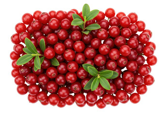 Isolated pile of red currants with green leaves, a fresh summer fruit snack ingredient