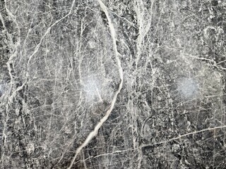Close-up of gray marble with white veins and subtle texture.