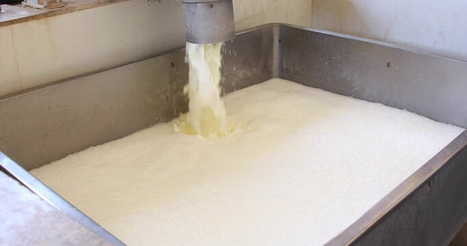 Milk flows through a stainless-steel pipe into a processing tank, creating froth during industrial dairy pasteurization and homogenization stages.