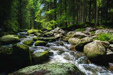 River Kamp in Waldviertel region, Lower Austria