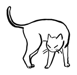 Playful wobbly line cat drawing in a naive, imperfect style, mimicking natural brush stroke. The cat in a slightly defensive pose. Handmade, rough line art style 