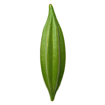 A single, plump green okra pod positioned vertically on a transparent background, revealing its ribbed surface