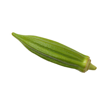 One ripe green okra pod on a plain transparent background, emphasizing its elongated shape and surface texture