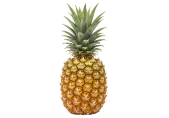 Isolated pineapple fruit with green crown and ripe yellow rind for commercial use