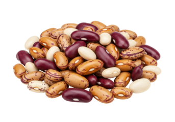Isolated heap of colorful speckled pinto beans, kidney beans, and white cannellini beans