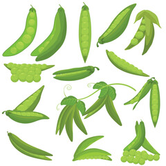 Green Peas and Pods Vector Illustration Set. Fresh Healthy Vegetable Collection. Food Ingredients.