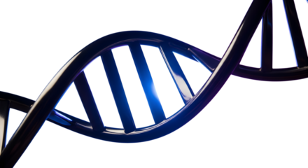 Abstract blue dna helix structure isolated on transparent background