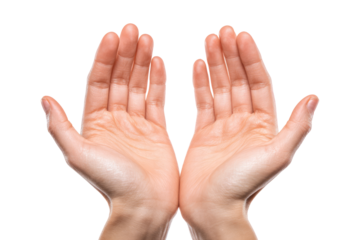 open female hands holding something isolated on white or transparent png