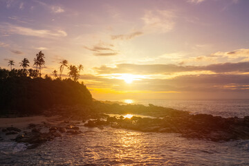 Tropical Sunset Over Rocky Beach With Palm Trees Silhouetted in Sky