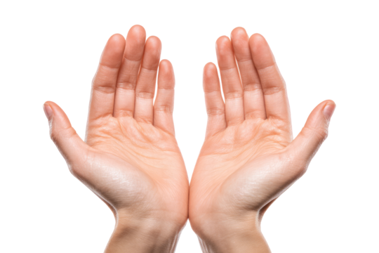 open female hands holding something isolated on white or transparent png