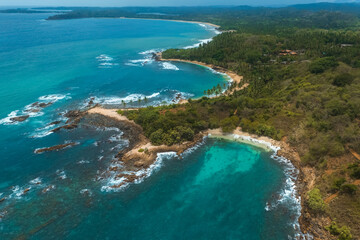 Tropical Palm-Lined Coast Of Ranlakshmi Paradise Beach, Sri Lanka