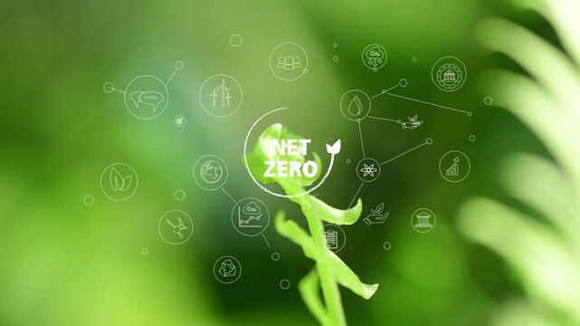 Net zero and carbon neutral concept. Globe Glass with Net zero icons In Green Forest With Sunlight.