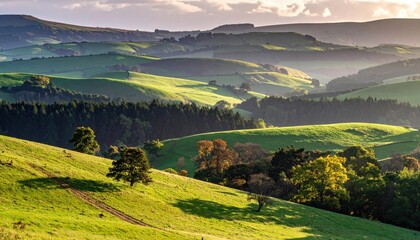 Rolling Green Hills Bathed in Golden Hour Sunlight with Distant Forests and Cloudy Sky