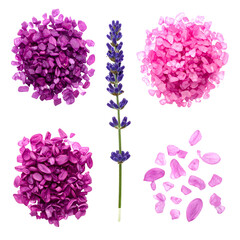 Purple and pink blossoms with lavender spike against black