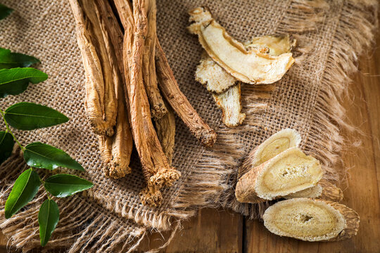 Chinese Herbal Roots Dangshen Angelica Astragalus Poster