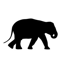 Elephant Animal Silhouettes, elephant silhouettes