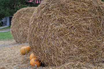 Autumn Farm Landscape with Straw Hay Bales and Orange Pumpkins Laying on Dry Ground in Rustic Countryside Harvest Season