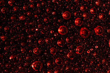 Abstract red drops in close-up. concept of microworld, origin of life. Mockup for your logo. horizontal wallpaper or web banner.