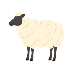 Cartoon Irish sheep with fluffy wool isolated on white background for farm and Ireland themes vector illustration