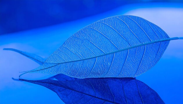 Two vibrant blue leaves resting on a reflective surface