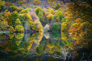 Autumn magic in the Julian Alps. Resia Valley, the woods on the border between Italy and Slovenia.