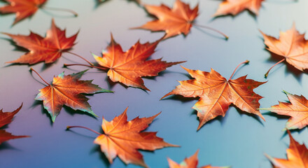 Pattern of dry maple leaves on a colorful background