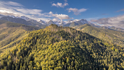 Aerial view of mountain forest in autumn with snow-capped Tatras in background