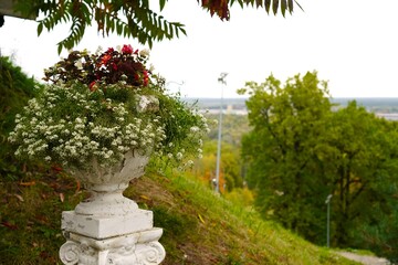 Beautiful garden setting featuring a decorative urn filled with vibrant flowers, surrounded by lush greenery. The scene captures the essence of nature's beauty and tranquility.