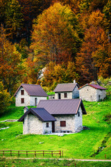 Autumn magic in the Julian Alps. Resia Valley, the woods on the border between Italy and Slovenia.